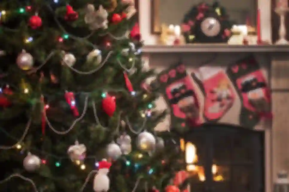 Merry Christmas!