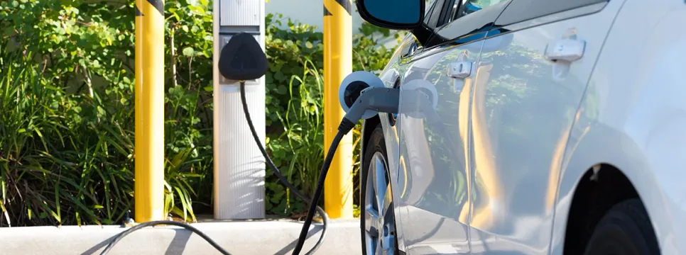 116 Million Electric Vehicles Will Be on the Road in 2026