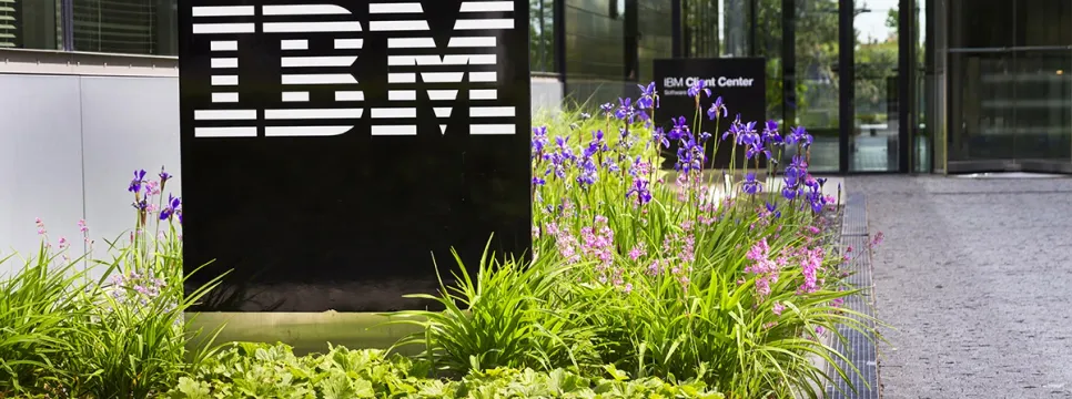 IBM Cloud Advances Business in the SEE Region