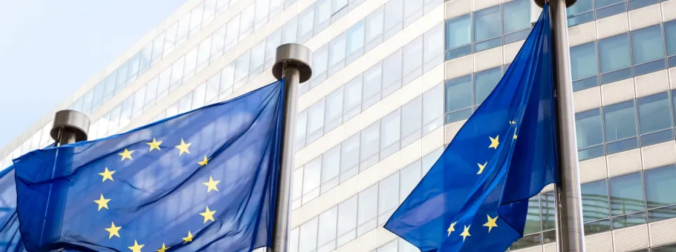 EC Opens Probe on Meta's AI Practices