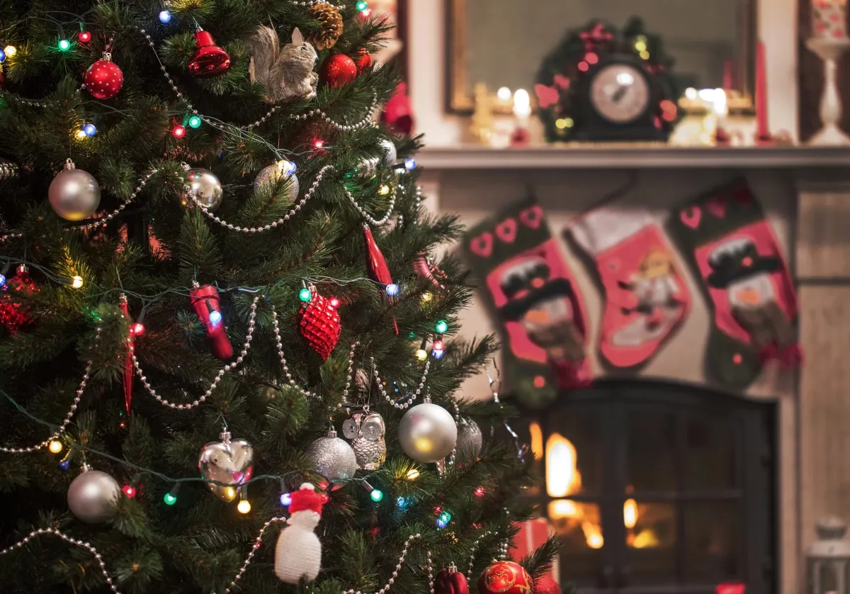 Merry Christmas!