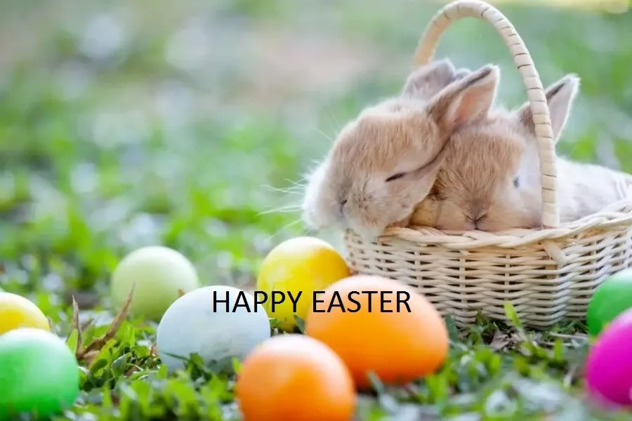 Happy Easter!