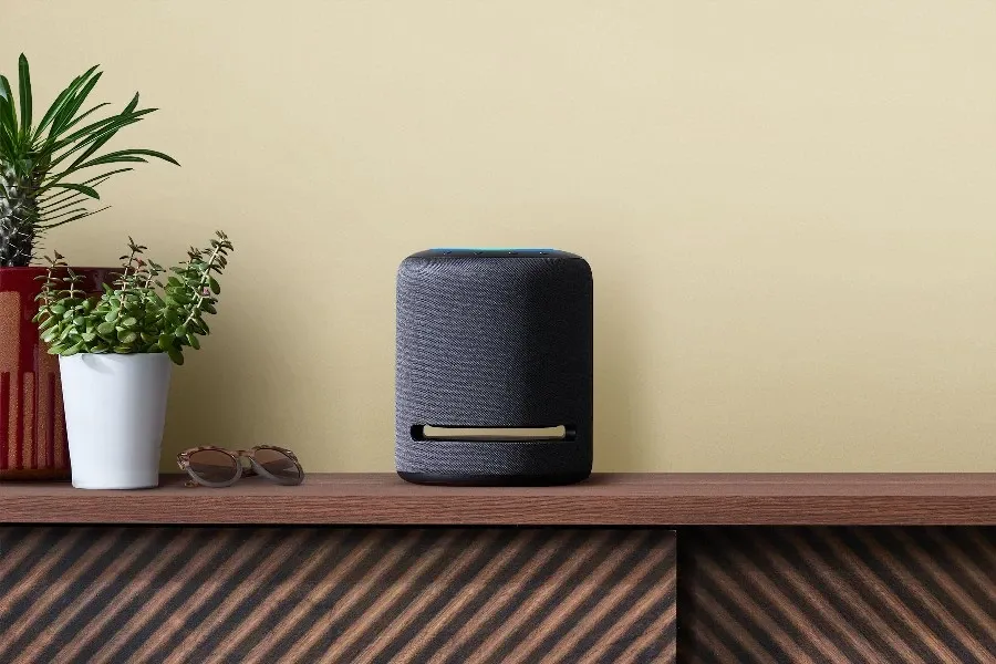 Purchases Via Smart Speakers Are Not Taking Off