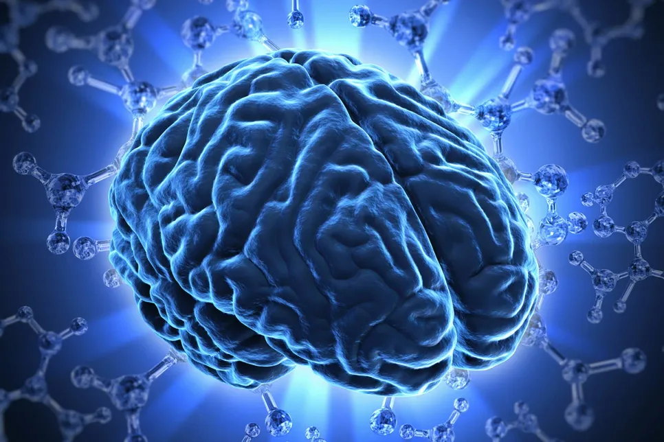 UK Competition Regulator Proposed AI Principles
