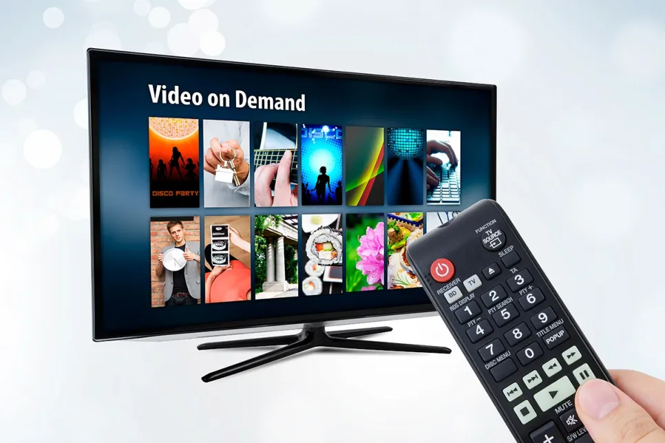 SVOD Services: Each to Their Own