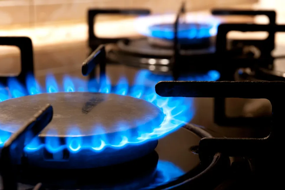 Which European Countries Depend on Russian Gas?